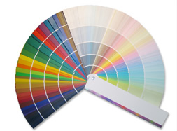Colour Options