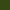 Olive Green SC